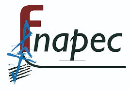 Logo fnapec